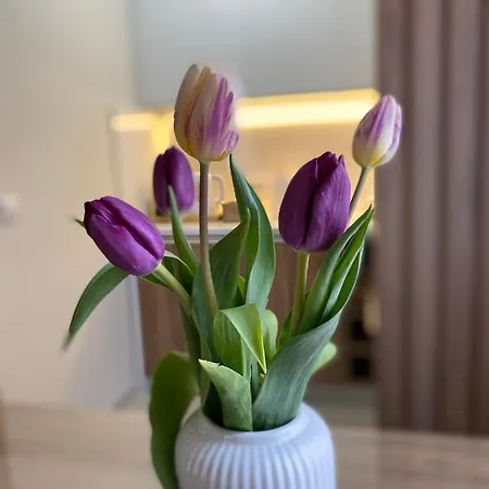 Lejlighed Miris Tisine