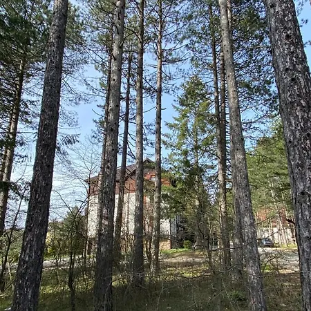 Miris Tisine Appartement