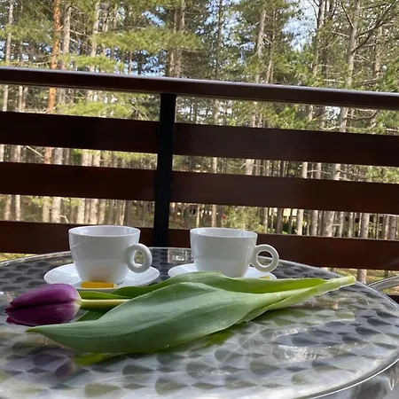 Miris Tisine Lejlighed *