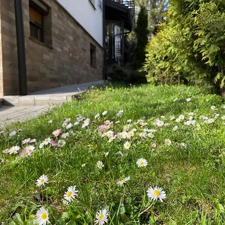 Miris Tisine Zlatibor