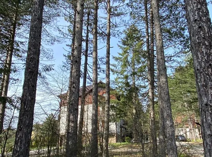 Miris Tisine 아파트