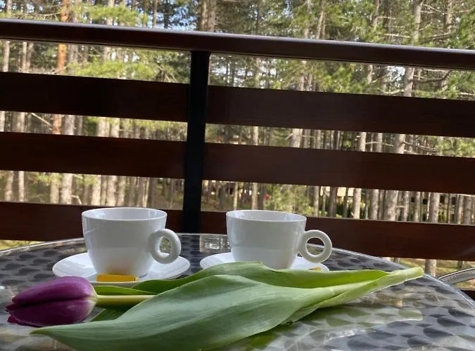 Miris Tisine 아파트 *