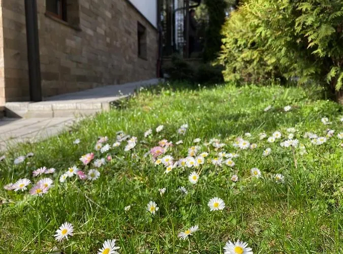 Miris Tisine 즐라티보